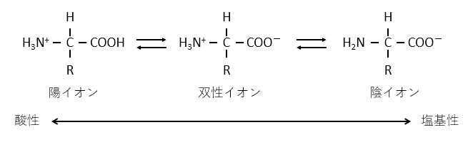 溶液中のアミノ酸