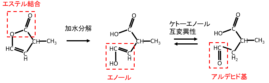 2023神戸大学Ⅲ問2