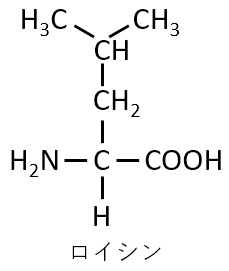ロイシン