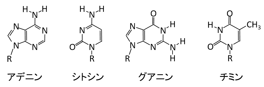 2021大阪大学4Ⅱ問6