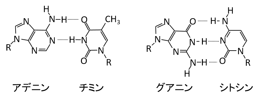 2021大阪大学4Ⅱ問6答え