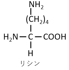 リシン