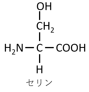 セリン